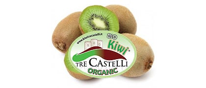 KIWI AUS BIOLOGISCHEM ANBAU