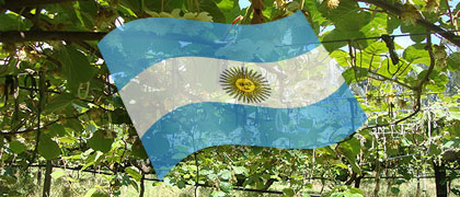 PRODUZIONE ARGENTINA