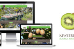 Kiwi Tre Castelli, online il nuovo sito web