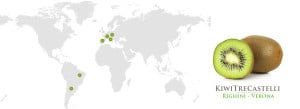 Righini Verona esportazione kiwiin Francia, Germania, Spagna, Portogallo, Brasile e Argentina
