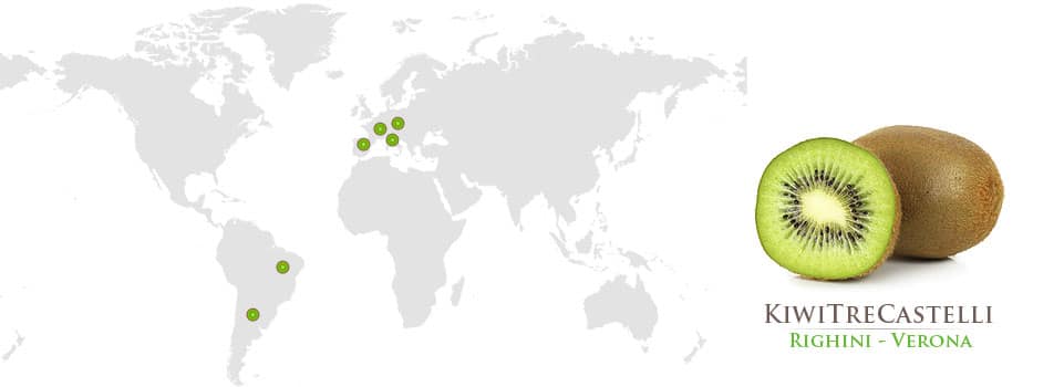 Righini Verona esportazione kiwi in Francia, Germania, Spagna, Portogallo, Brasile e Argentina